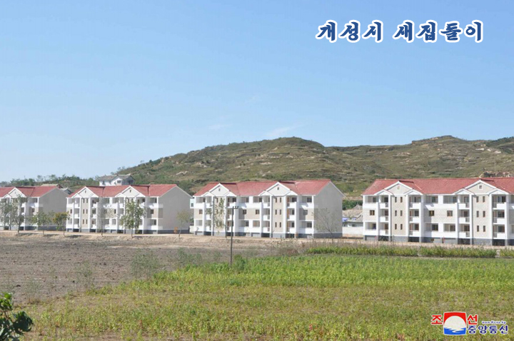 9-우리 집이 제일입니다